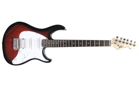 PEAVEY Raptor SSH Brown Sunburst Электрогитара, форма Stratocaster купить в Москве: цены, доставка, фото PEAVEY Raptor SSH Brown Sunburst Электрогитара, форма Stratocaster купить в Москве: цены, доставка, фото