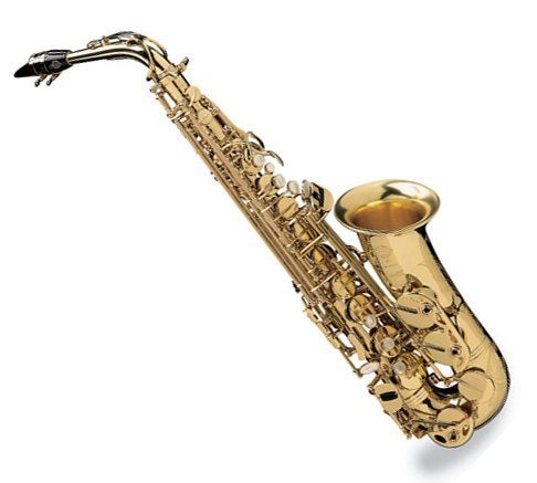 Саксофон альт Selmer SA80II-VG купить в Москве: цены, доставка, фото Саксофон альт Selmer SA80II-VG купить в Москве: цены, доставка, фото