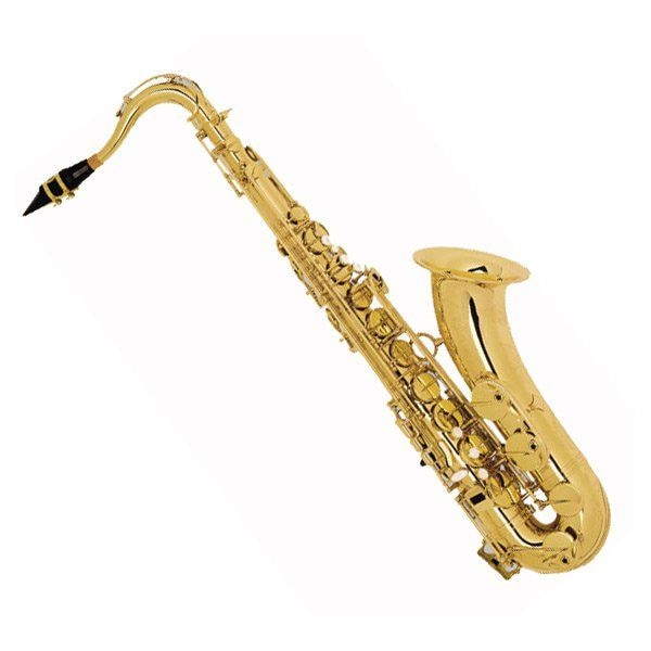 Саксофон тенор Вb SELMER Super Action 80 SERIE II (SA80II-VO) Саксофон тенор Вb SELMER Super Action 80 SERIE II (SA80II-VO)
