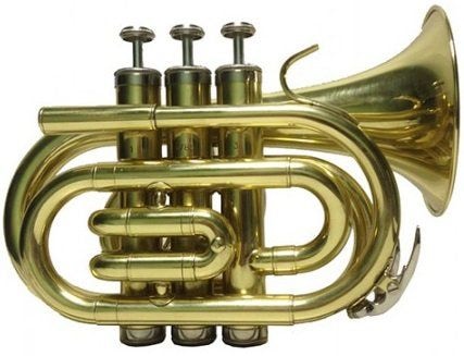 Труба-мини (pocket) "Bb" BRAHNER TM-510L купить в Москве: цены, доставка, фото Труба-мини (pocket) "Bb" BRAHNER TM-510L купить в Москве: цены, доставка, фото