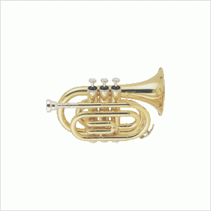 Труба мини Bb BOSTON TM-250G купить в Москве: цены, доставка, фото