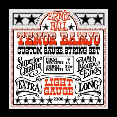 Ernie Ball 2306 струны для 4 струнного тенор банджо Stainless Steel Light купить в Москве: цены, доставка, фото Ernie Ball 2306 струны для 4 струнного тенор банджо Stainless Steel Light купить в Москве: цены, доставка, фото