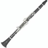 Кларнет Trevor James Wooden 3TCW Bb купить в Москве: цены, доставка, фото Кларнет Trevor James Wooden 3TCW Bb купить в Москве: цены, доставка, фото