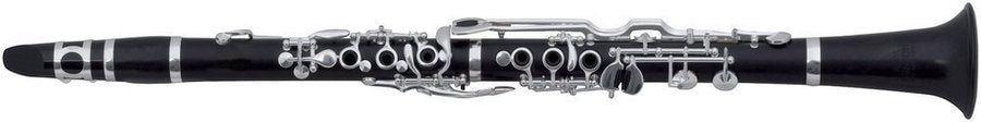 ROY BENSON CG-521 кларнет ROY BENSON CG-521 кларнет