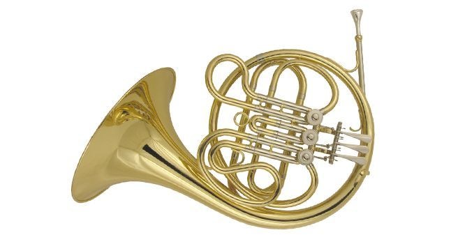 Валторна WISEMANN DFH-F500 Валторна WISEMANN DFH-F500