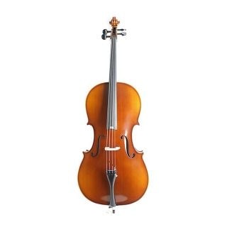 Виолончель KARL HEINLICH THC-30L 1/2 купить в Москве: цены, доставка, фото Виолончель KARL HEINLICH THC-30L 1/2 купить в Москве: цены, доставка, фото