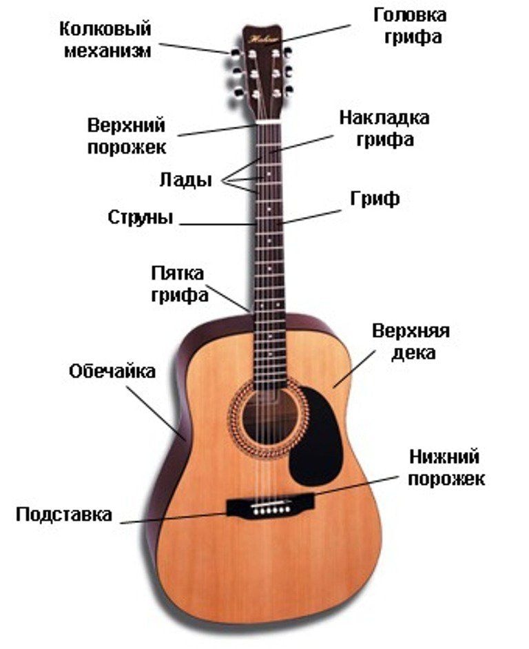 устройство гитары.jpeg устройство гитары.jpeg
