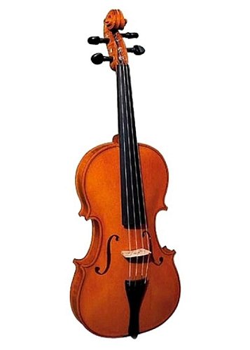 Скрипка Hans Klein HKV-560L 4/4 купить в Москве: цены, доставка, фото Скрипка Hans Klein HKV-560L 4/4 купить в Москве: цены, доставка, фото