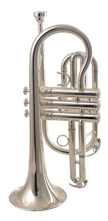 Корнет WISEMANN DCT-650SP купить в Москве: цены, доставка, фото Корнет WISEMANN DCT-650SP купить в Москве: цены, доставка, фото