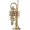 Корнет WISEMANN DCT-300 купить в Москве: цены, доставка, фото