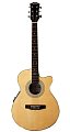 Mustang MF24CE ак.гитара с подключением 4EQ купить в Москве: цены, доставка, фото Mustang MF24CE ак.гитара с подключением 4EQ купить в Москве: цены, доставка, фото