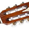 EPIPHONE PRO-1 Classic классическая акустическая гитара купить в Москве: цены, доставка, фото EPIPHONE PRO-1 Classic классическая акустическая гитара купить в Москве: цены, доставка, фото