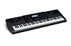 Синтезатор Casio WK-6600 купить в Москве: цены, доставка, фото