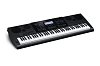 Синтезатор Casio WK-7600 купить в Москве: цены, доставка, фото