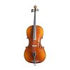 Виолончель KARL HEINLICH THC-30L 1/2 купить в Москве: цены, доставка, фото Виолончель KARL HEINLICH THC-30L 1/2 купить в Москве: цены, доставка, фото