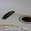Акустическая гитара Euphony EW100/WH купить в Москве: цены, доставка, фото Акустическая гитара Euphony EW100/WH купить в Москве: цены, доставка, фото