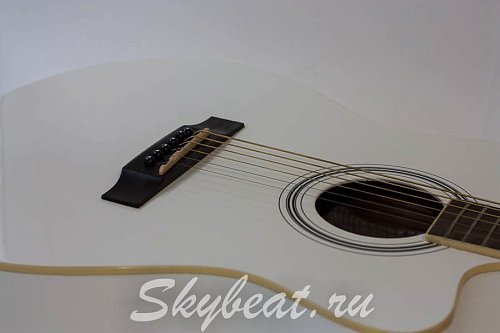 Акустическая гитара Euphony EW100/WH купить в Москве: цены, доставка, фото Акустическая гитара Euphony EW100/WH купить в Москве: цены, доставка, фото