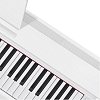 Купить privia px-870we, цифровое фортепиано в магазине Skybeat Купить privia px-870we, цифровое фортепиано в магазине Skybeat