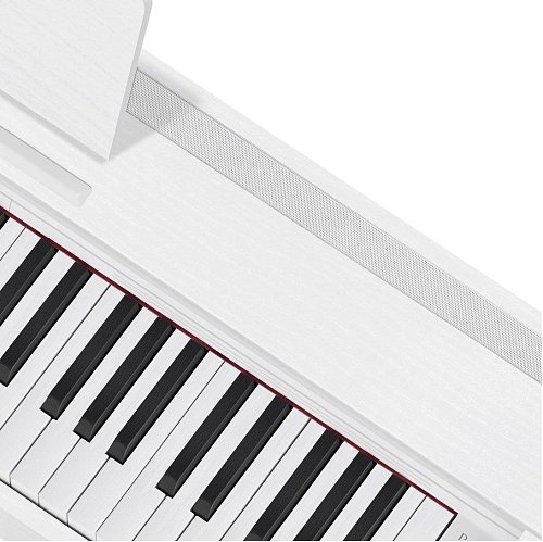 Купить privia px-870we, цифровое фортепиано в магазине Skybeat Купить privia px-870we, цифровое фортепиано в магазине Skybeat