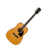 IBANEZ PF17-LG DREADNOUGHT акустическая гитара купить в Москве: цены, доставка, фото