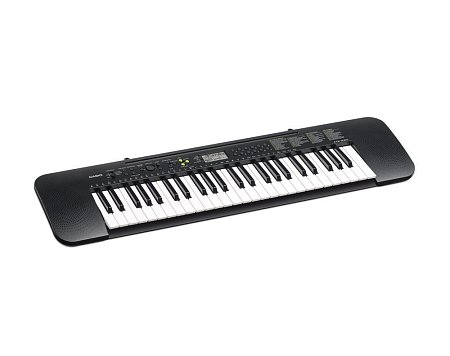 Синтезатор Casio CTK-240 купить в Москве: цены, доставка, фото Синтезатор Casio CTK-240 купить в Москве: цены, доставка, фото