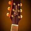 TAKAMINE PRO SERIES 4 P4DC электроакустическая гитара типа DREADNOUGHT CUTAWAY с кейсом, цвет натуральный купить в Москве: цены, доставка, фото TAKAMINE PRO SERIES 4 P4DC электроакустическая гитара типа DREADNOUGHT CUTAWAY с кейсом, цвет натуральный купить в Москве: цены, доставка, фото