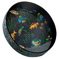 REMO ET-0212-10 тамбурин (эффект моря, рисунок - рыбы) купить в Москве: цены, доставка, фото REMO ET-0212-10 тамбурин (эффект моря, рисунок - рыбы) купить в Москве: цены, доставка, фото