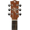 Гитара Maton EBG808C TE купить в Москве: цены, доставка, фото Гитара Maton EBG808C TE купить в Москве: цены, доставка, фото