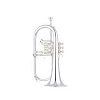 Флюгельгорн Yamaha YFH-631GS купить в Москве: цены, доставка, фото Флюгельгорн Yamaha YFH-631GS купить в Москве: цены, доставка, фото