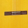 TAKAMINE G-SERIES CLASSICAL GC1-NAT классическая гитара, цвет натуральный купить в Москве: цены, доставка, фото TAKAMINE G-SERIES CLASSICAL GC1-NAT классическая гитара, цвет натуральный купить в Москве: цены, доставка, фото