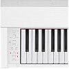 Купить privia px-870we, цифровое фортепиано в магазине Skybeat Купить privia px-870we, цифровое фортепиано в магазине Skybeat