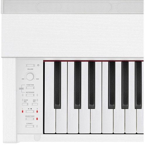 Купить privia px-870we, цифровое фортепиано в магазине Skybeat Купить privia px-870we, цифровое фортепиано в магазине Skybeat