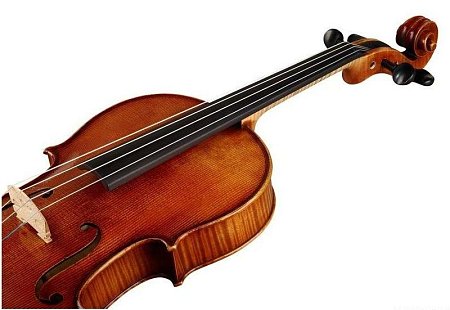 Альт Karl Hofner AS-060-VA 16" (серия Alfred Stingl) купить в Москве: цены, доставка, фото