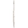 Флейта C Selmer Aristocrat FL600E купить в Москве: цены, доставка, фото