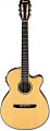 IBANEZ AEG10NII-NT гитара электроакустическая с нейлоновыми струнами купить в Москве: цены, доставка, фото IBANEZ AEG10NII-NT гитара электроакустическая с нейлоновыми струнами купить в Москве: цены, доставка, фото