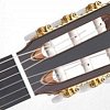 TAKAMINE CLASSIC SERIES H8SS классическая акустическая гитара, цвет натуральный, струны нейлон купить в Москве: цены, доставка, фото TAKAMINE CLASSIC SERIES H8SS классическая акустическая гитара, цвет натуральный, струны нейлон купить в Москве: цены, доставка, фото