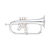 Флюгельгорн Yamaha YFH-631GS купить в Москве: цены, доставка, фото Флюгельгорн Yamaha YFH-631GS купить в Москве: цены, доставка, фото