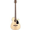 FENDER CB-100CE ACOUSTIC BASS акустическая бас-гитара купить в Москве: цены, доставка, фото FENDER CB-100CE ACOUSTIC BASS акустическая бас-гитара купить в Москве: цены, доставка, фото