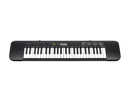 Синтезатор Casio CTK-240 купить в Москве: цены, доставка, фото Синтезатор Casio CTK-240 купить в Москве: цены, доставка, фото