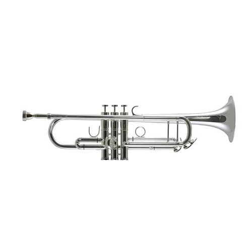 Труба Trevor James Renaissance TJTR8500SP Bb купить в Москве: цены, доставка, фото Труба Trevor James Renaissance TJTR8500SP Bb купить в Москве: цены, доставка, фото