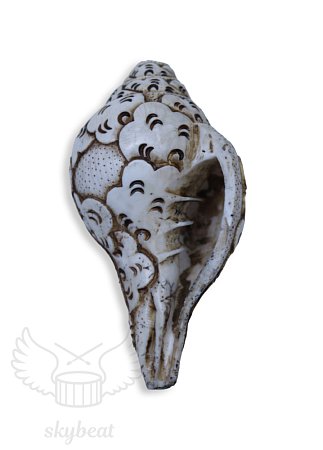 Поющая раковина Shankha Carving продажа в Москве Поющая раковина Shankha Carving купить в Москве: цены, доставка, фото