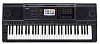 Синтезатор Casio MZ-X300 купить в Москве: цены, доставка, фото