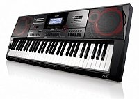 Синтезаторы Casio купить в Москве: цены, доставка, фото Синтезаторы Casio купить в Москве: цены, доставка, фото