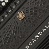 Баян Scandalli C 442 купить в Москве: цены, доставка, фото Баян Scandalli C 442 купить в Москве: цены, доставка, фото