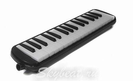 Мелодика духовая SkyBeat 32 купить в Москве: цены, доставка, фото Мелодика духовая SkyBeat 32 купить в Москве: цены, доставка, фото