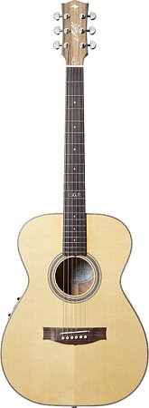 Гитара Maton CUSTOM-SHOP-TE-PERSONAL купить в Москве: цены, доставка, фото Гитара Maton CUSTOM-SHOP-TE-PERSONAL купить в Москве: цены, доставка, фото