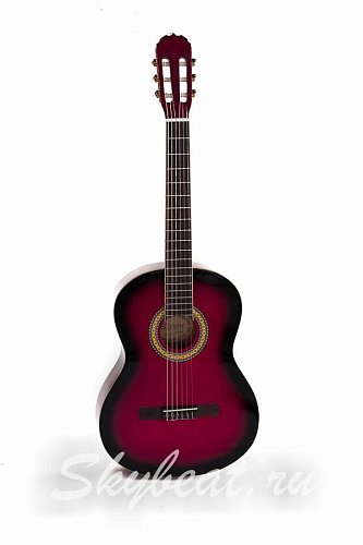 Классическая гитара Euphony EC100/RD купить в Москве: цены, доставка, фото Классическая гитара Euphony EC100/RD купить в Москве: цены, доставка, фото