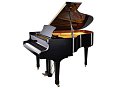 Becker GP-01AA-168 рояль черный полированный купить в Москве: цены, доставка, фото Becker GP-01AA-168 рояль черный полированный купить в Москве: цены, доставка, фото