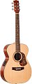 Гитара Maton SRS808 купить в Москве: цены, доставка, фото Гитара Maton SRS808 купить в Москве: цены, доставка, фото