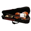 Скрипка CREMONA 160 1/8 купить в Москве: цены, доставка, фото Скрипка CREMONA 160 1/8 купить в Москве: цены, доставка, фото